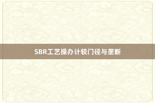 SBR工艺操办计较门径与垄断